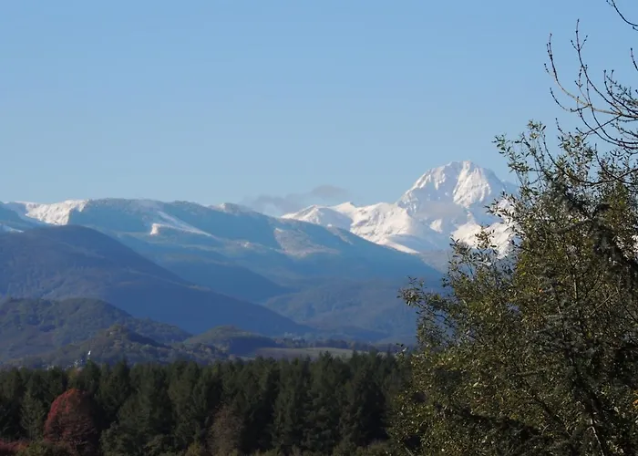 Cabane Dans Les Bois Avec Vue Sur Les Pyrenees