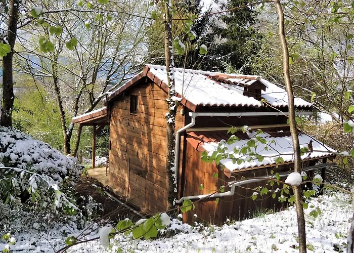 Cabane Dans Les Bois Avec Vue Sur Les Pyrenees