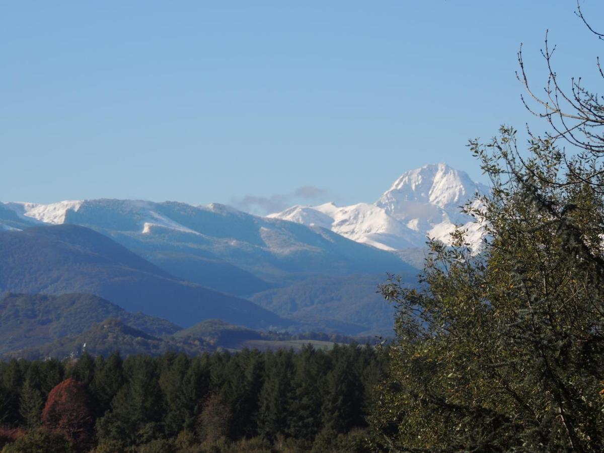 Dans Les Bois Avec Vue Sur Les Pyrenees Chalet *