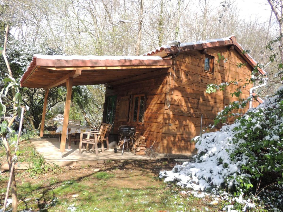 Dans Les Bois Avec Vue Sur Les Pyrenees Chalet