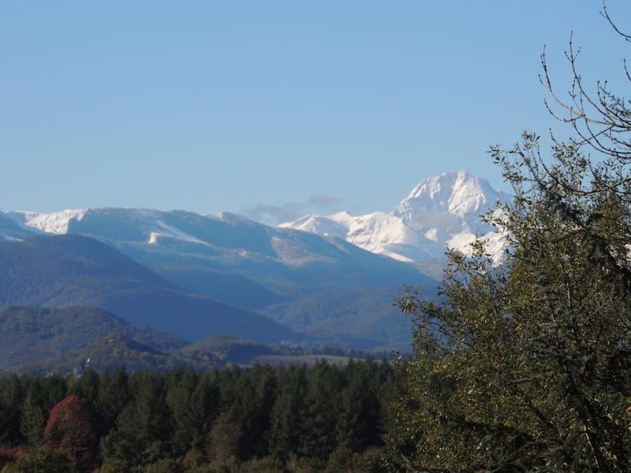 Dans Les Bois Avec Vue Sur Les Pyrenees * Saint-Laurent-de-Neste