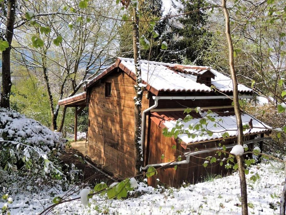 Dans Les Bois Avec Vue Sur Les Pyrenees * Saint-Laurent-de-Neste
