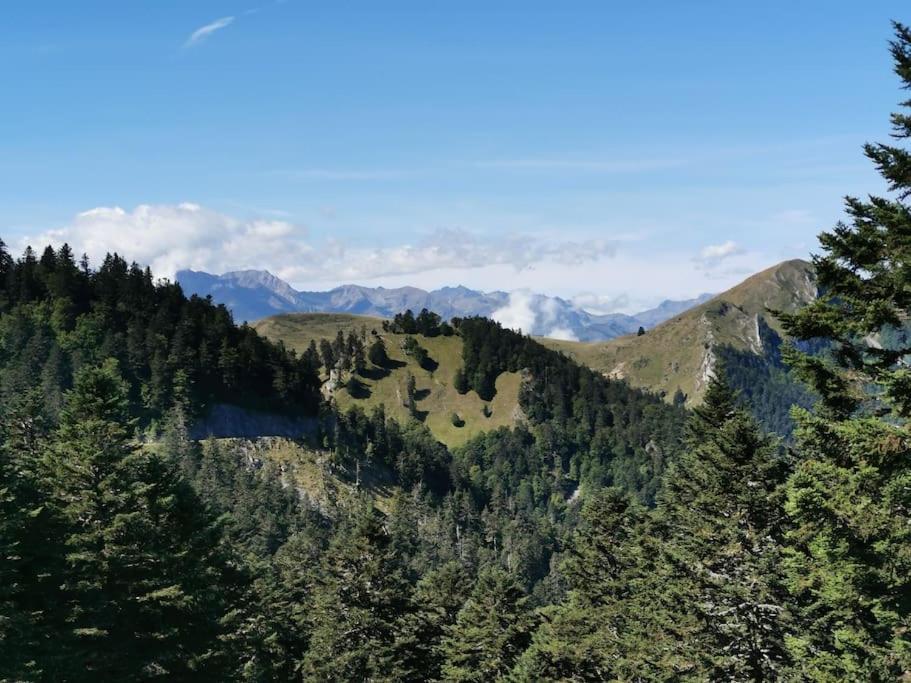 Dans Les Bois Avec Vue Sur Les Pyrenees Chalet *
