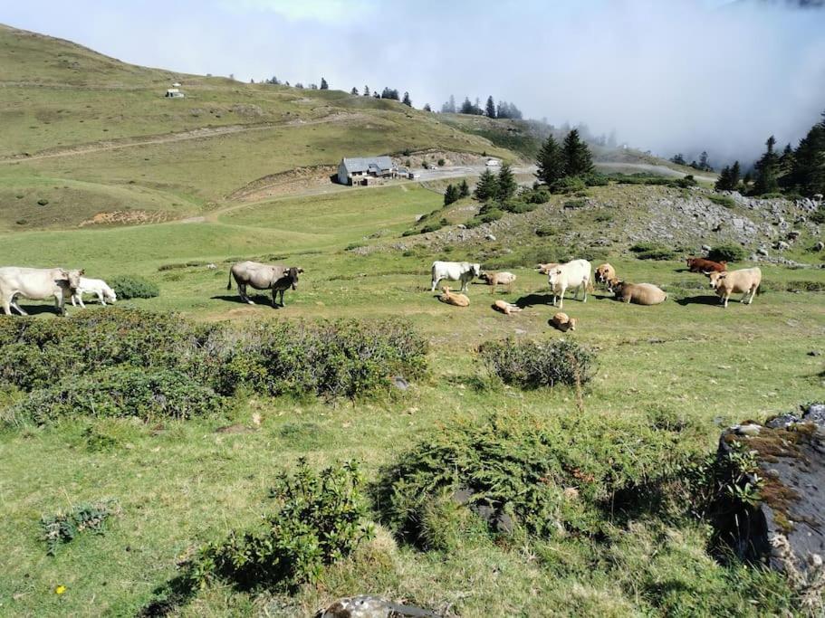Chalet Dans Les Bois Avec Vue Sur Les Pyrenees